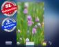 Preview: Infrarot Bildheizung 500 Watt 90x60 M10-SL Schnittlauch