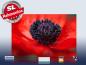 Preview: Infrarot Bildheizung 500 Watt 90x60 M10-SL Mohn