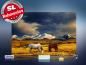 Preview: infrarot Bildheizung 500 Watt 90x60 M10-SL Wildpferde