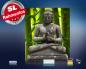 Preview: Infrarot Bildheizung 400 Watt 70x60 M10-SL Buddha