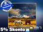 Preview: Infrarot Bildheizung 400 Watt 70x60 M10-SL Wildpferde