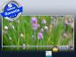 Preview: Infrarot Bildheizung 900 Watt 140x60 M10-SL Schnittlauch quer
