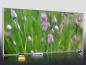 Preview: Infrarot Bildheizung 900 Watt 140x60 M10-SL Schnittlauch quer