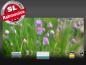 Preview: Infrarot Bildheizung 900 Watt 140x60 M10-SL Schnittlauch quer