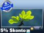 Preview: Infrarotheizung als Bild Bildheizung 900 Watt 140x60 M10-SL Ahornblatt