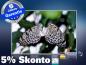 Preview: infrarot Bildheizung 500 Watt 90x60 M10-SL Schmetterlinge