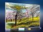 Preview: Infrarot Bildheizung Kunst 500 Watt 90x60 M10-SL Baumblüte