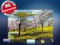 Preview: Infrarot Bildheizung Kunst 500 Watt 90x60 M10-SL Baumblüte