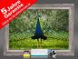 Preview: Infrarot Bildheizung 500 Watt 90x60 Stilrahmen StSi Pfau