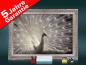 Preview: Infrarot Bildheizung 500 Watt 90x60 Stilrahmen StSi Pfau II