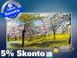 Preview: Infrarot Bildheizung Kunst 600 Watt 110x60 M10-SL Baumblüte
