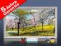 Preview: Infrarotheizung als Bild Bildheizung 600 Watt 110x60 StAw Baumblüte