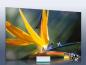 Preview: Infrarot Bildheizung 500 Watt Rahmenlos slim-line 90x60 Strelizie