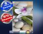 Preview: Infrarot Bildheizung 500 Watt 90x60 M10-SL Bambus