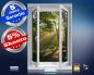 Preview: Infrarot Bildheizung 500 Watt 90x60 M10-SL Fensterblick Morgensonne