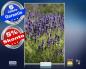 Preview: Infrarot Bildheizung 500 Watt 90x60 M10-SL Lavendel