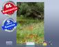Preview: Infrarot Bildheizung 500 Watt 90x60 M10-SL Olivenbaum