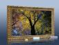 Preview: Infrarot Bildheizung 500 Watt 90x60 Stilrahmen StG Herbst
