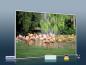 Preview: infrarotheizung mit Bild Bildheizung 500 Watt 90x60 M10-SL Flamingos