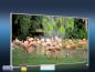 Preview: Infrarotheizung als Bild Bildheizung 600 Watt 110x60 M10-SL Flamingos