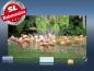 Preview: Infrarotheizung als Bild Bildheizung 600 Watt 110x60 M10-SL Flamingos