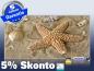 Preview: Infrarot Bildheizung 700 Watt 120x60 M10-SL Seestern