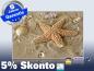 Preview: Infrarot Bildheizung 500 Watt 90x60 M10-SL Seestern