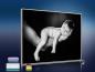 Preview: Infrarot Bildheizung 400 Watt 70x60 M10-SL Baby