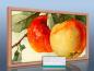 Preview: Infrarot Bildheizung 600 Watt 110x60 Holzrahmen HB30 Äpfel