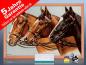 Preview: Infrarot Bildheizung 500 Watt 90x60 Holzrahmen HB30 Drei Pferde