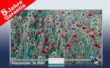 Preview: Bildheizung-Motiv Blumenwiese für Standard Infrarotheizungen