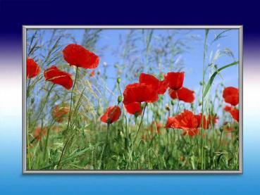 Preview: Bildheizung-Motiv Roter Mohn für Standard Infrarotheizungen