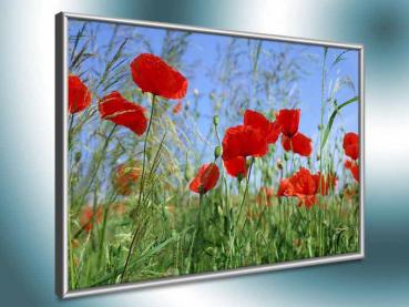 Preview: Bildheizung-Motiv Roter Mohn für Standard Infrarotheizungen
