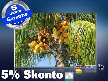 infrarot Bildheizung 500 Watt 90x60 M10-SL Palmenfrüchte