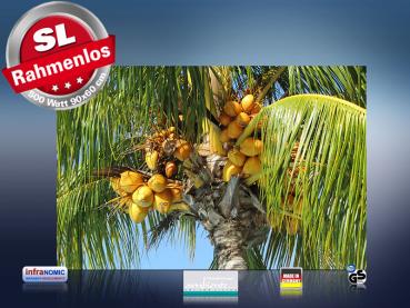 Preview: infrarot Bildheizung 500 Watt 90x60 M10-SL Palmenfrüchte