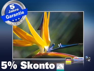 infrarot Bildheizung 500 Watt 90x60 M10-SL Strelitzie
