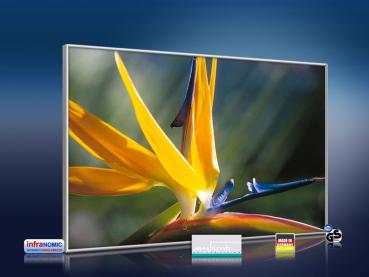 Preview: infrarot Bildheizung 500 Watt 90x60 M10-SL Strelitzie