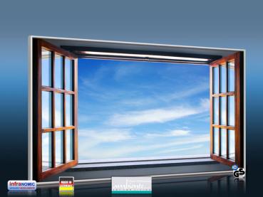 Preview: Infrarot Bildheizung 600 Watt 110x60 M10-SL Fenster II