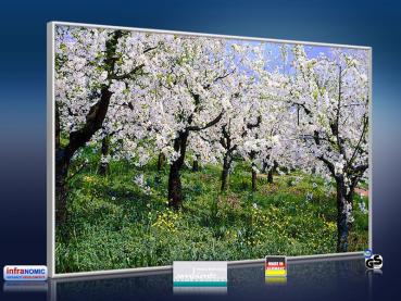 Preview: infrarot Bildheizung 500 Watt 90x60 M10-SL Apfelblüte