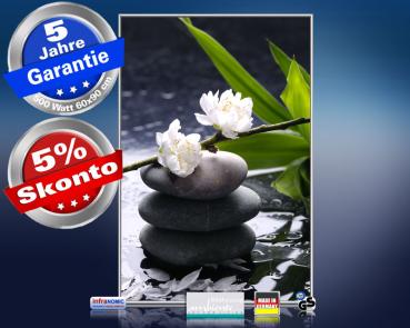 Infrarot Bildheizung 500 Watt 90x60 M10-SL Wellness