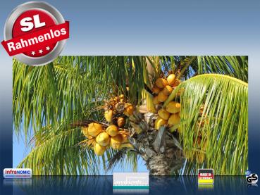 Preview: Infrarot Bildheizung 700 Watt 120x60 M10-SL Palmenfrüchte