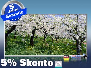 Infrarot Bildheizung Kunst 700 Watt 120x60 M10-SL Apfelblüte