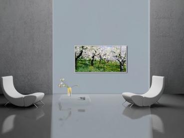 Preview: Infrarot Bildheizung Kunst 700 Watt 120x60 M10-SL Apfelblüte