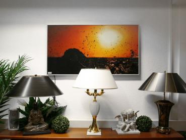 Infrarot Bildheizung 600 Watt 110x60 M10-SL Brandung