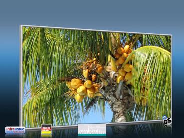 Preview: Infrarot Bildheizung 600 Watt 110x60 M10-SL Palmenfrüchte