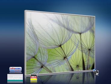 Preview: Infrarot Bildheizung 400 Watt 70x60 M10-SL Pusteblumen