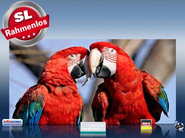 Preview: Infrarot Bildheizung 700 Watt 120x60 M10-SL Papageien
