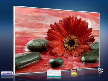 Preview: infrarot Bildheizung 500 Watt 90x60 M10-SL Rote Gerbera