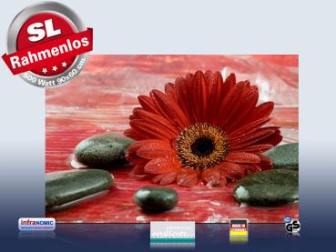 Preview: infrarot Bildheizung 500 Watt 90x60 M10-SL Rote Gerbera
