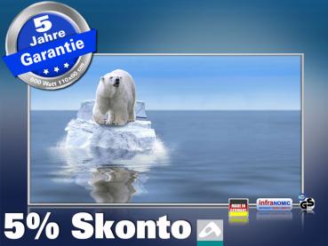 Infrarot Bildheizung 600 Watt 110x60 M10-SL Eisbär